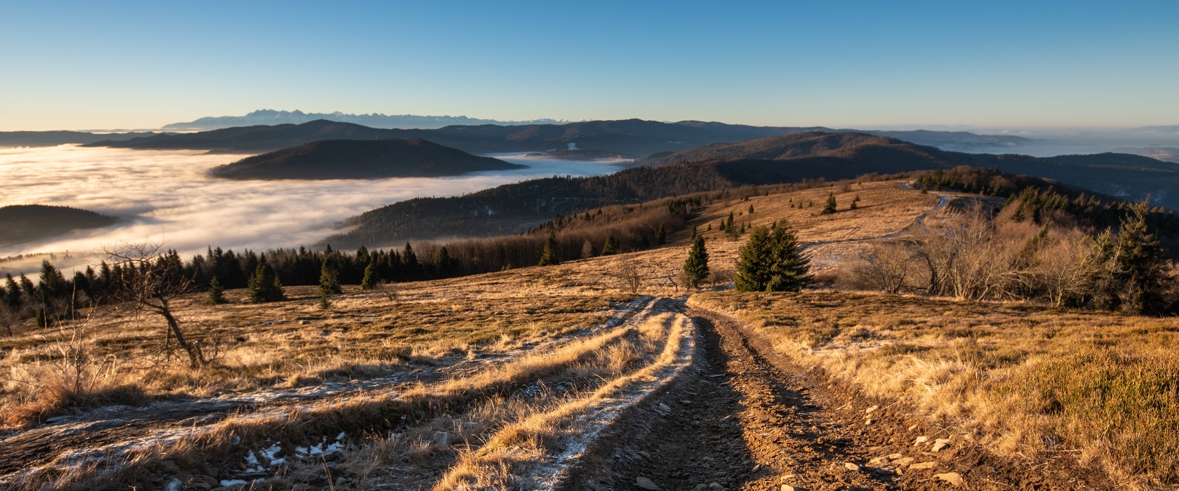 Fotografie: Blick über winterliche Beskidenkuppen bei blauem Himmel und Sonnenschein, Janusz Maniak / Unsplash.com